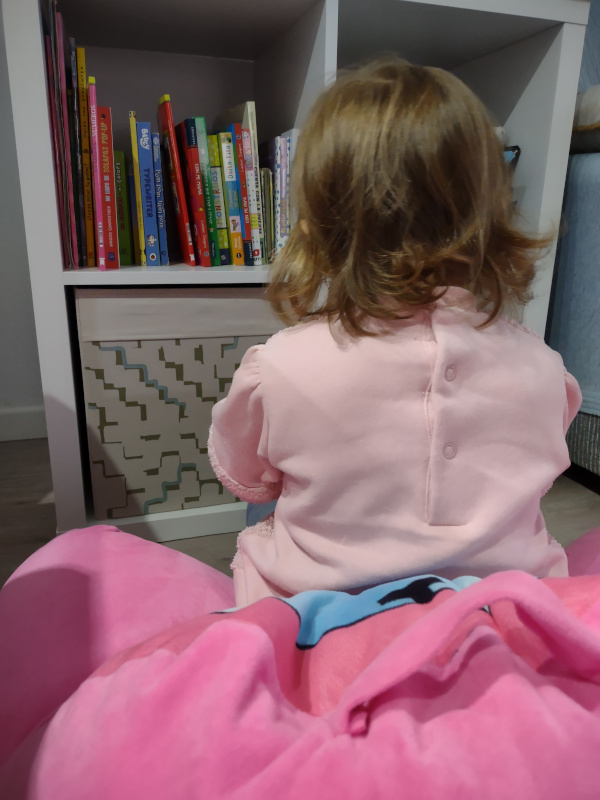 crea en casa tu biblioteca infantil