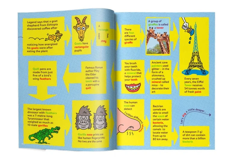 Modelo del libro de Factopia donde se muestra cómo enlazan los datos curiosos.