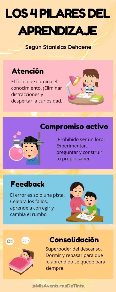 Infografía sobre los 4 pilares de aprendizaje que defiende Stanislas Dehaene