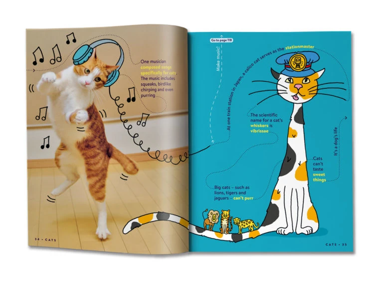 Ejemplo del libro de curiosidades en inglés para niños llamado Return Factopia